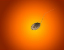 10 мита за спермата