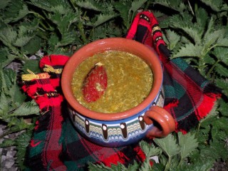 kopriva