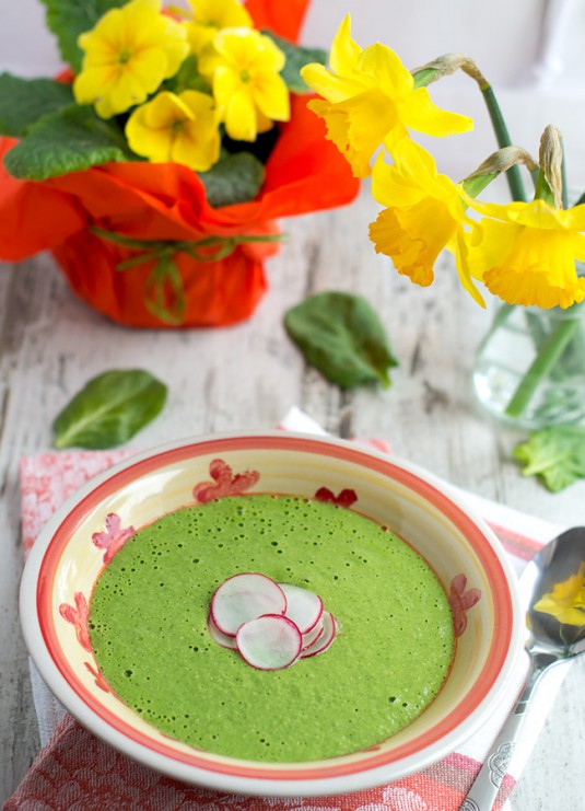 raw-spinach-soup