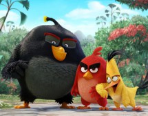 Нови книжки с героите от Angry Birds