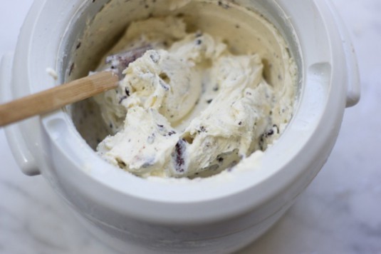 mint_frozen_yogurt_recipe