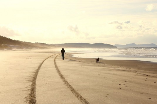 beach-1480915_960_720