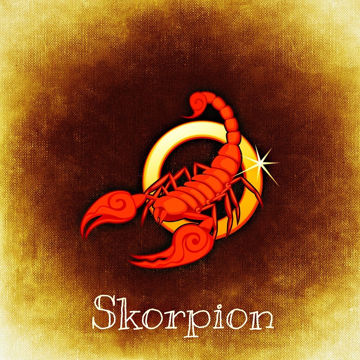 scorpion-1