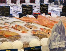 Риба от седемте морета доплува в МЕТРО
