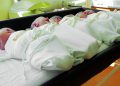 Разменените бебета в „Шейново“ ще бъдат върнати на семействата им