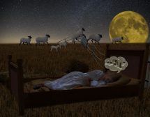 6 начина да приспим безсънието