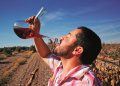 Виненият маршрут Cigales в Испания: И хайде здраве и хубаво вино