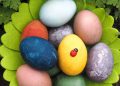 Как са боядисвали яйца преди столетия – зелева чорба, треви и билки