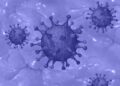 Гал Сасон – кога ще се освободим от коронавируса
