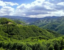 По какво се различават минералните води в България