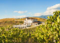 „Вила Мелник“ в Top 50 на World’s Best Vineyards 2020