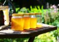 Медът –  по-добър от антибиотик при настинки и болки в гърлото