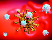 Изградените антитела след Ковид-19 циркулират в кръвта до 500 дни