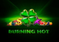 Burning Hot: Лидер в света на плодовите ротативки