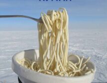 „Антарктическа кухня“ с рецепти от 29 полярни готвачи