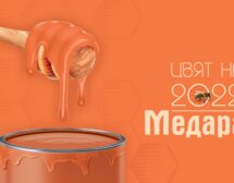 „Медара“ е цветът в домовете ни за 2022-ра