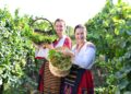Българско вино Pinot Noir е избрано в топ 100 на Wine Enthusiast