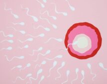 5 интересни и любопитни факти за инвитро (IVF) процедурата