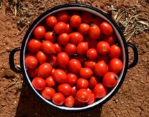 Мармалад от червени домати