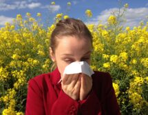 Учени: Честите срещи с микроби в детството не предпазват от алергии