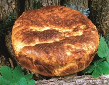 Кашкавалник