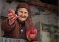 Всичко за баба ми